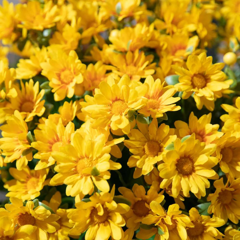 💥Last Day Each Only $2.99🌼- Artificial Outdoor Sunset Mums Flowers - UV resistant, Waterproof, Windproof